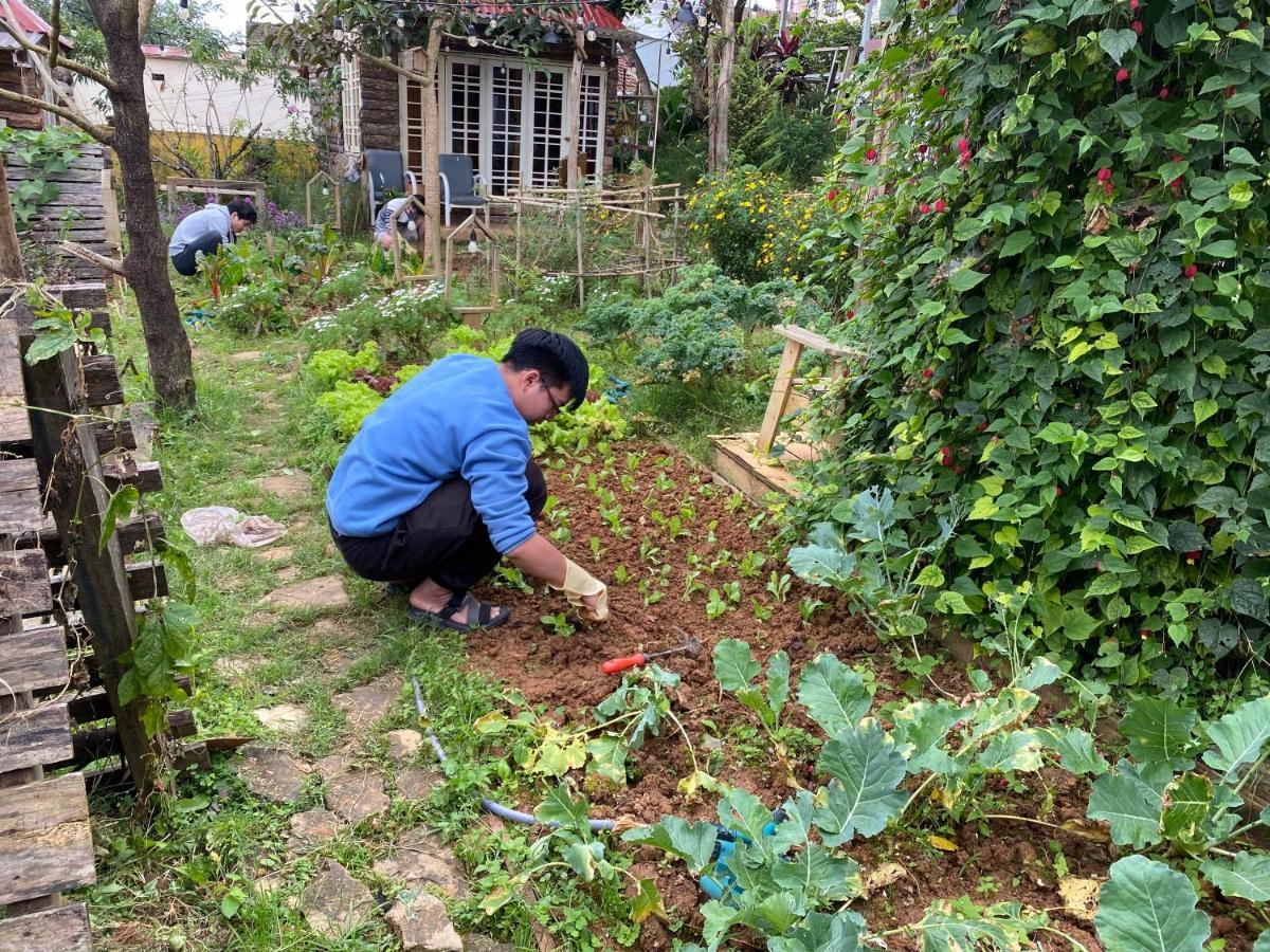 The Burrow Dalat Lägenhet Exteriör bild