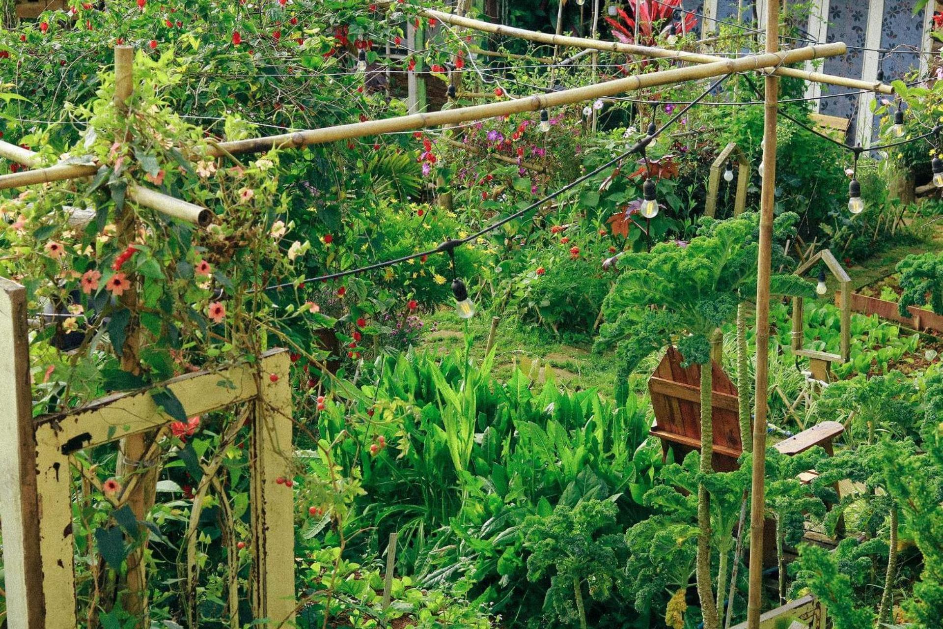 The Burrow Dalat Lägenhet Exteriör bild