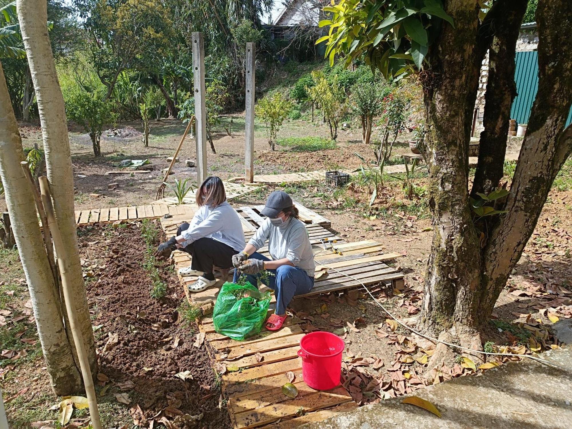 The Burrow Dalat Lägenhet Exteriör bild